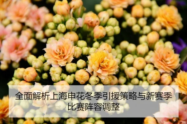 全面解析上海申花冬季引援策略与新赛季比赛阵容调整（ONE ENTERTAINMENT）
